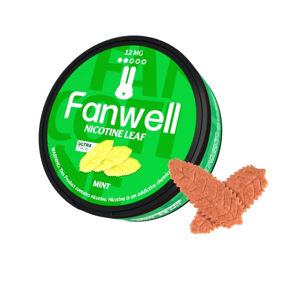 민트 니코틴 파우치 12mg